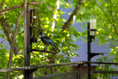 Photo of property in 17a Smith Street, Akaroa, 7520