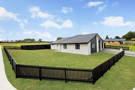 Photo of property in 10 Hoki Avenue, Morrinsville, 3300