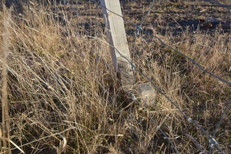 Photo of property in 52 Woodley Avenue, Twizel, 7999