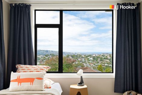 Photo of property in 20 Gilmore Street, Wakari, Dunedin, 9010