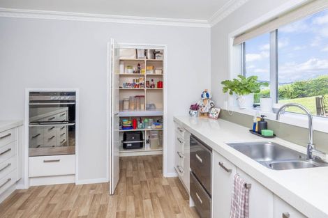 Photo of property in 255 Hetherington Road, Huntly, 3772