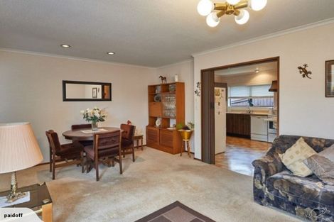 Photo of property in 22 Hind Place, Hokowhitu, Palmerston North, 4410