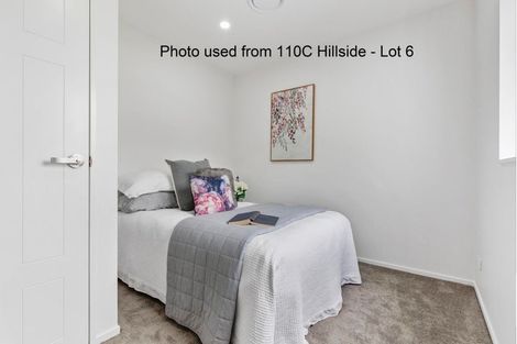Photo of property in 110a Hillside Road, Mount Wellington, 1062