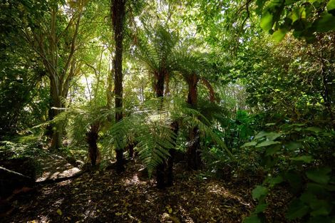 Photo of property in 1824 State Highway 1, Oaro, Kaikoura, 7374