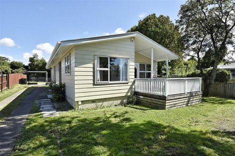 Photo of property in 119 Riverpark Crescent, Henderson, Auckland, 0610