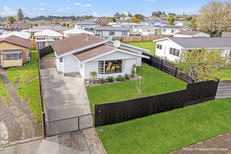 Photo of property in 169 Cameron Road, Te Puke, 3119