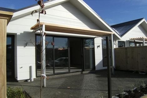 Photo of property in 29b Clarence Street South, Addington, Christchurch, 8024