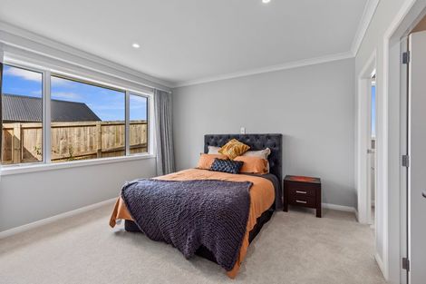 Photo of property in 99 Adler Drive, Ohauiti, Tauranga, 3112