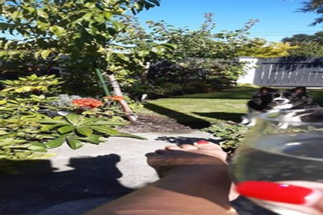 Photo of property in 22a Clutha Street, Alexandra, 9320