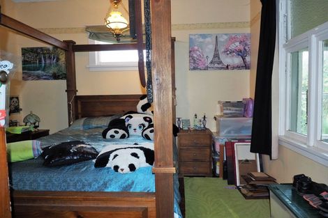 Photo of property in 42 Mangahao Road, Shannon, Palmerston North, 4474