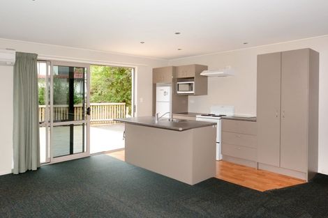 Photo of property in 45d Lees Street, Dunedin Central, Dunedin, 9016