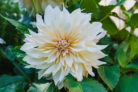 Photo of property in 54 Scurr Road, Scroggs Hill, Dunedin, 9076