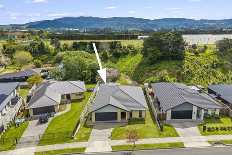 Photo of property in 71 Tynan Street, Te Puke, 3119