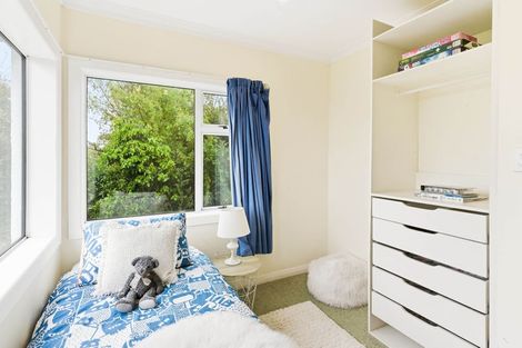 Photo of property in 177 Signal Hill Road, Opoho, Dunedin, 9010