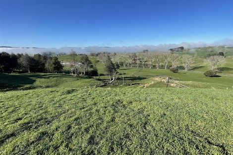 Photo of property in 80a Mangaotaki Road, Piopio, 3971
