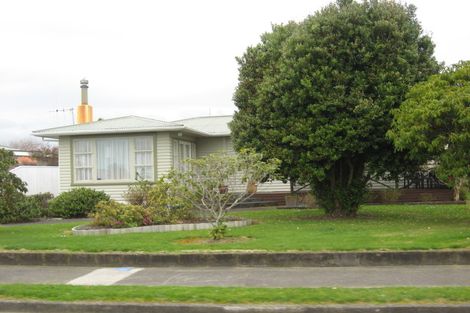 Photo of property in 14 Elizabeth Street, Levin, 5510