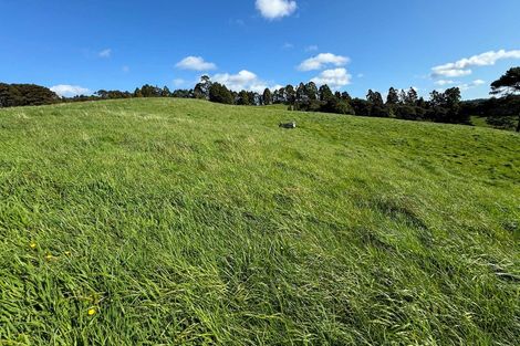 Photo of property in 208 Sunnyside Road, Coatesville, Albany, 0793