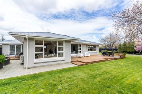 Photo of property in 193 Rutland Street, St Albans, Christchurch, 8052