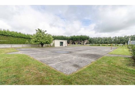 Photo of property in 15 Thornbury Waimatuku Road, Waimatuku, Riverton, 9883