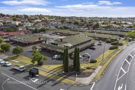 Photo of property in 75 Meadowland Drive, Somerville, Auckland, 2014