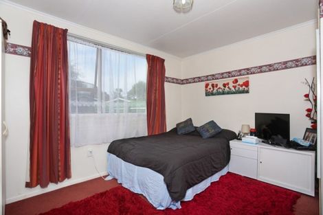 Photo of property in 17 Alexandra Street, Marton, 4710