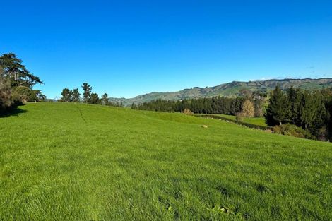 Photo of property in 235 Norwegian Road, Rotoorangi, Cambridge, 3495