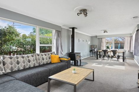 Photo of property in 91 Alabama Road, Redwoodtown, Blenheim, 7201