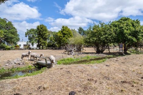 Photo of property in 299 Bidwills Cutting Road, Morison Bush, Greytown, 5794