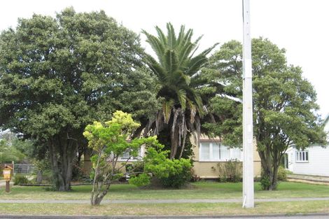 Photo of property in 54 Awapuni Road, Awapuni, Gisborne, 4010