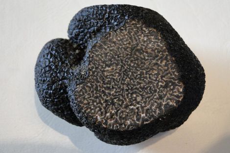 Photo of property in Heritage, 1420 Matapiro Road, Crownthorpe, Hastings, 4179