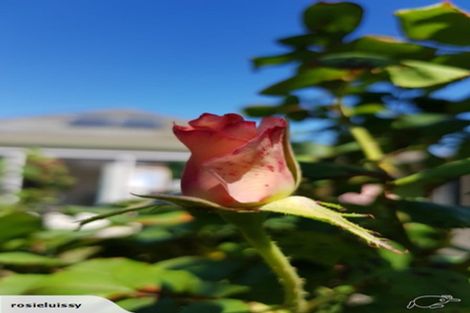 Photo of property in 81 Wiggins Street, Sumner, Christchurch, 8081