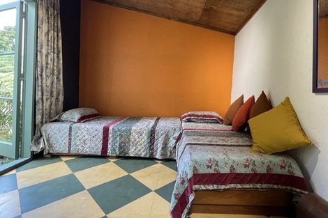 Photo of property in 800 Buffalo Road, Coromandel, 3506