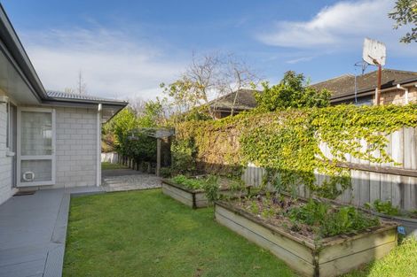 Photo of property in 1 Landing Drive, Pyes Pa, Tauranga, 3112