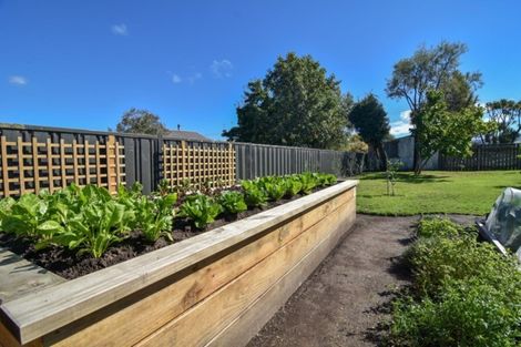 Photo of property in 2 Plimsoll Street, Carterton, 5713