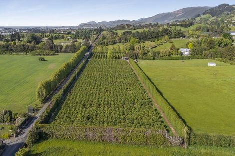 Photo of property in 161 Paton Road, Hope, Richmond, 7081