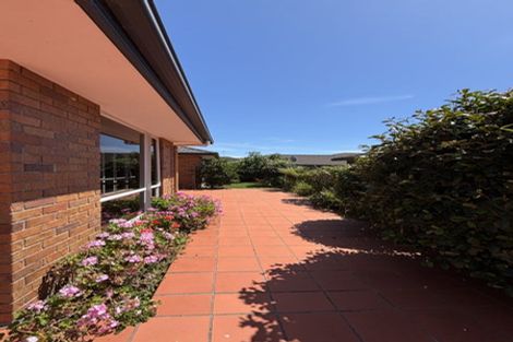 Photo of property in 3 Albano Way, The Wood, Nelson, 7010