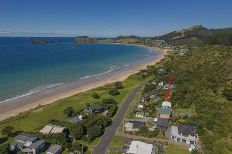 Photo of property in 874 Black Jack Road, Opito Bay, Whitianga, 3592