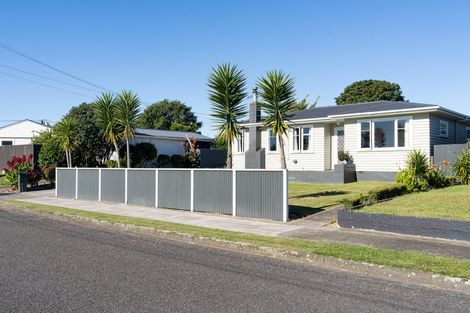 Photo of property in 14 Tawa Street, Levin, 5510