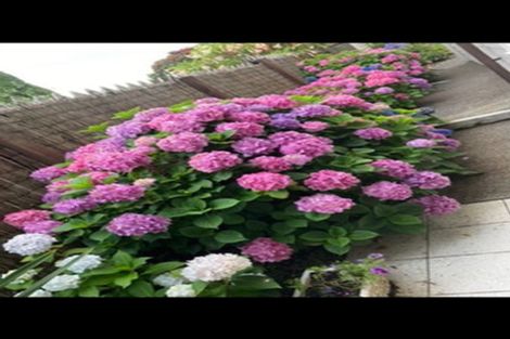 Photo of property in 7a Torkar Road, Clarks Beach, 2122