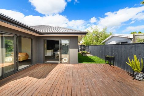 Photo of property in 14a Colombo Street, Hokowhitu, Palmerston North, 4410