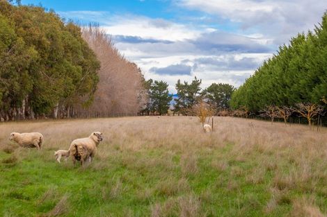 Photo of property in 244 Neal Road, Spring Creek, Blenheim, 7273