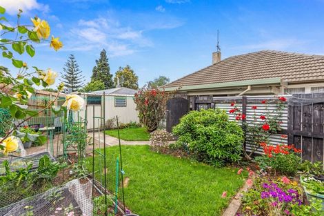 Photo of property in 451 Fraser Street, Parkvale, Tauranga, 3112