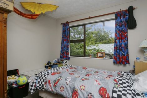 Photo of property in 81 Tamatea Road, Taupo, 3330