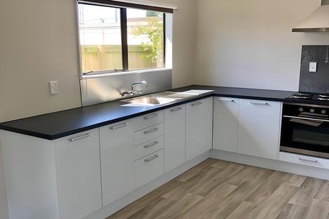 Photo of property in 60b Bandon Street, Frankton, Hamilton, 3204