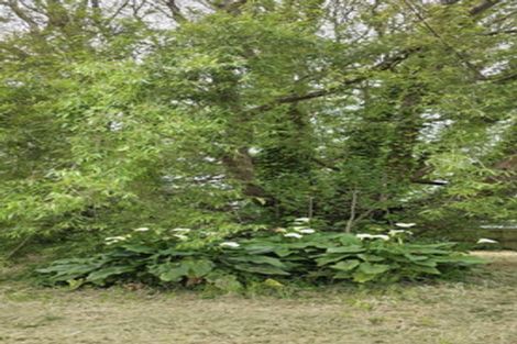 Photo of property in 86 Rangiuru Road, Otaki Beach, Otaki, 5512