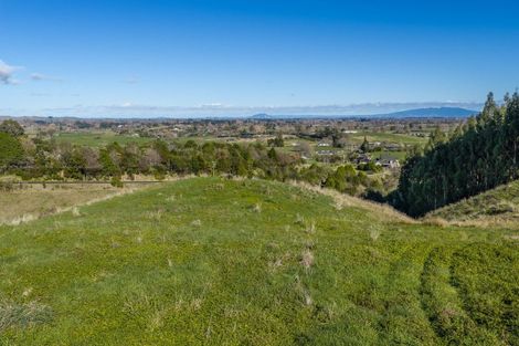 Photo of property in 265 Maungakawa Road, Cambridge, 3496