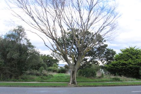 Photo of property in 36 Te Awe Awe Street, Hokowhitu, Palmerston North, 4410