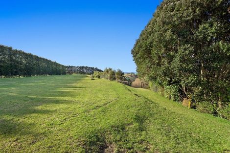 Photo of property in 333 Paerata Ridge Road, Waiotahe, Opotiki, 3198