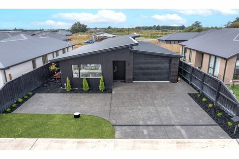 Photo of property in 17 Nathaniel Archer Street, Woodend, 7610