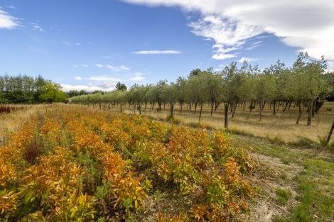 Photo of property in 83 Boundary Road, Upper Plain, Masterton, 5888